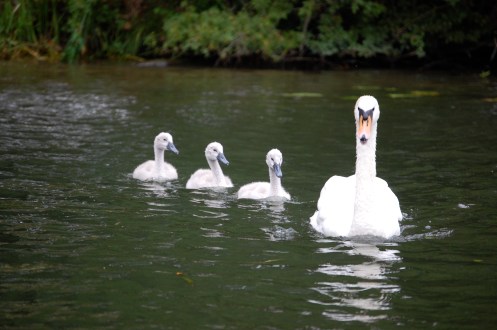 Quiet and dignified leadership ...